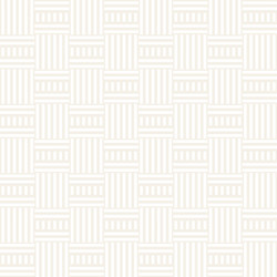 abstract geometric pattern with stripes lattice vector image