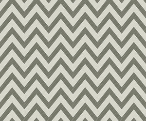 Zigzag Chevron Pattern vector image