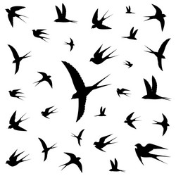 Bird Icons Collection Vector Image