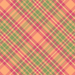 tartan plaid pattern with texture and summer color vector image
