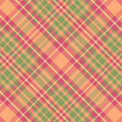 tartan plaid pattern with texture and summer color vector