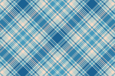 tartan plaid pattern with texture and summer color vector image