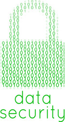 Digital Data Security Lock vector image