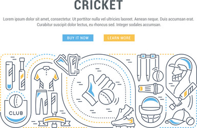 Banner cricket vector