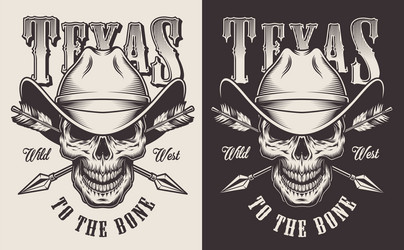Texas Cowboy Emblems Vector Image