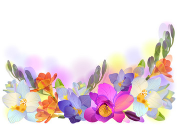 Freesia Flower Horizontal Background vector image