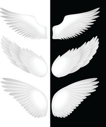 Wings Vector Images (over 400,000)