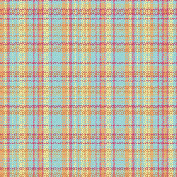tartan plaid pattern with texture and summer color vector image