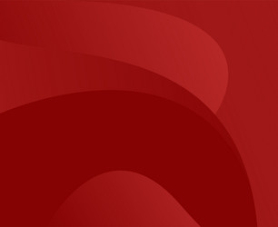 red background gradient abstract texture design vector image