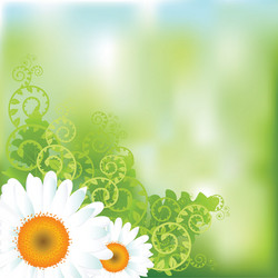 Floral background vector