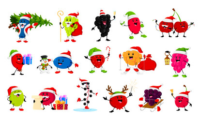 cartoon christmas holiday berry characters Vector Image