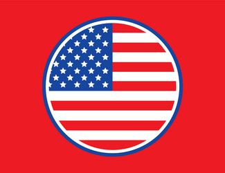 trendy usa flag Vector Image