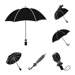 isolated object of weather and rainy symbol set vector image