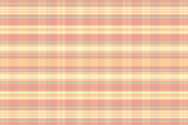tartan plaid pattern with texture and summer color vector image