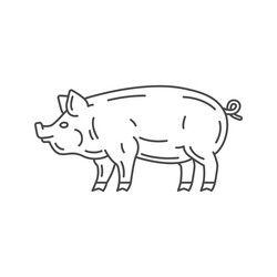 Farm animal pig line icon design vector