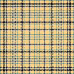 tartan plaid pattern with texture and summer color vector image