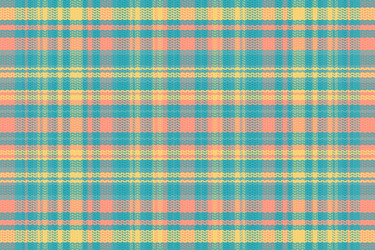 tartan plaid pattern with texture and summer color vector image