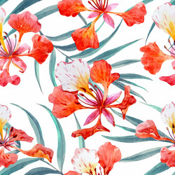 Watercolor Floral Tropical Pattern Vector Image