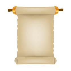 old scroll with place for text parchment vector image