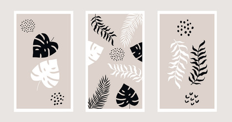 set botanical art lines on abstract backgrounds vector image
