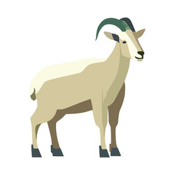 Flat goat design Royalty Free Vector Image - VectorStock