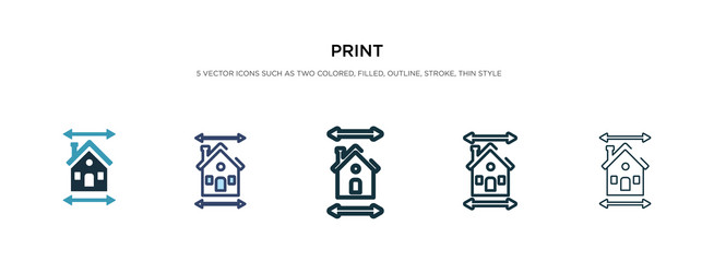 Print icon in different style two colored vector