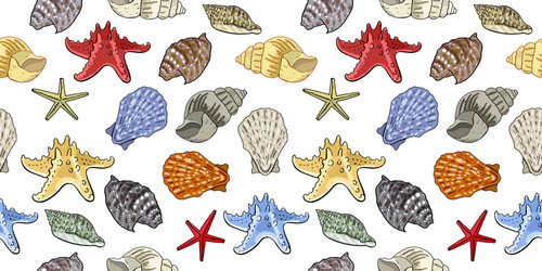 Seamless pattern with seashells isolate on white vector