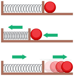 Spring Experiments: Physics Motion vector image