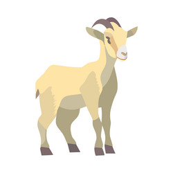 Flat cute goat Royalty Free Vector Image - VectorStock