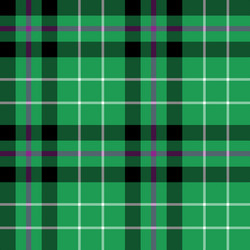 hibernian fc tartan fabric texture check pattern vector image
