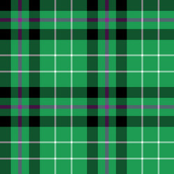 Hibernian fc tartan fabric texture check pattern vector