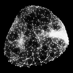 connection structure wireframe vector image