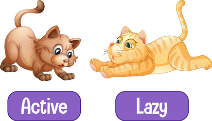 opposite words with active and lazy vector image