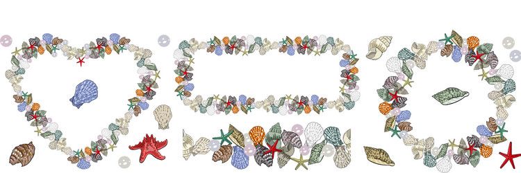 a set seashell elements different kinds vector image