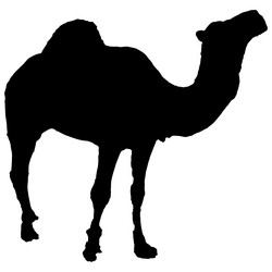 Camel icon silhouette vector