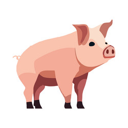 Flat pig design Royalty Free Vector Image - VectorStock
