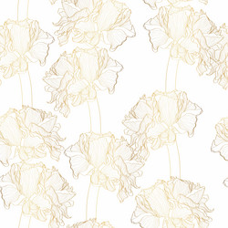 seamless pattern with line golden ranunculus vector image