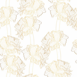 Seamless pattern with line golden ranunculus vector