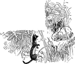 weasel with a rabbit in this frame vintage vector image