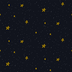 Sketch star seamless pattern starry sky Royalty Free Vector