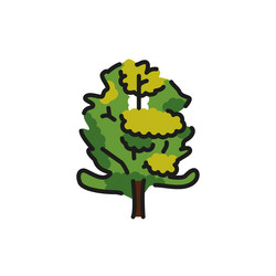 alder tree color line icon pictogram for web page vector image