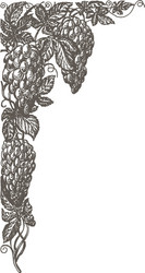 Grapevine Branch Frame vector image