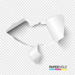 emptyl tear edge paper hole banner on transparent vector