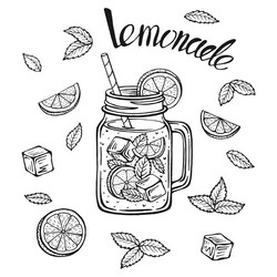 lemonade mug with ice and a slice lemon vector image