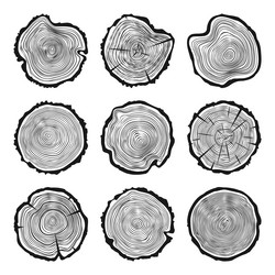 Cut tree rings background saw trunk Royalty Free Vector