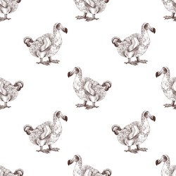 seamless pattern with dodo extinct birds vector image