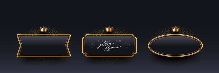Luxury Black Badge Set with Gold Frames vector image