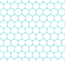 Honeycomb Pattern - Hexagon Texture vector image