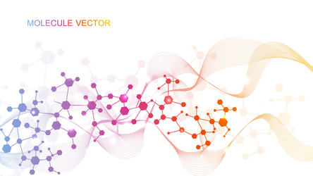 modern abstract molecules structure for science vector image