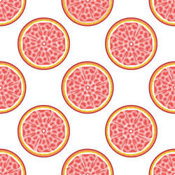 grapefruit abstract seamless pattern vector image